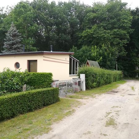 Ferienhaus Am Wald Loissin Extérieur photo