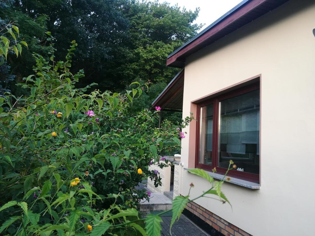 Ferienhaus Am Wald Loissin Extérieur photo