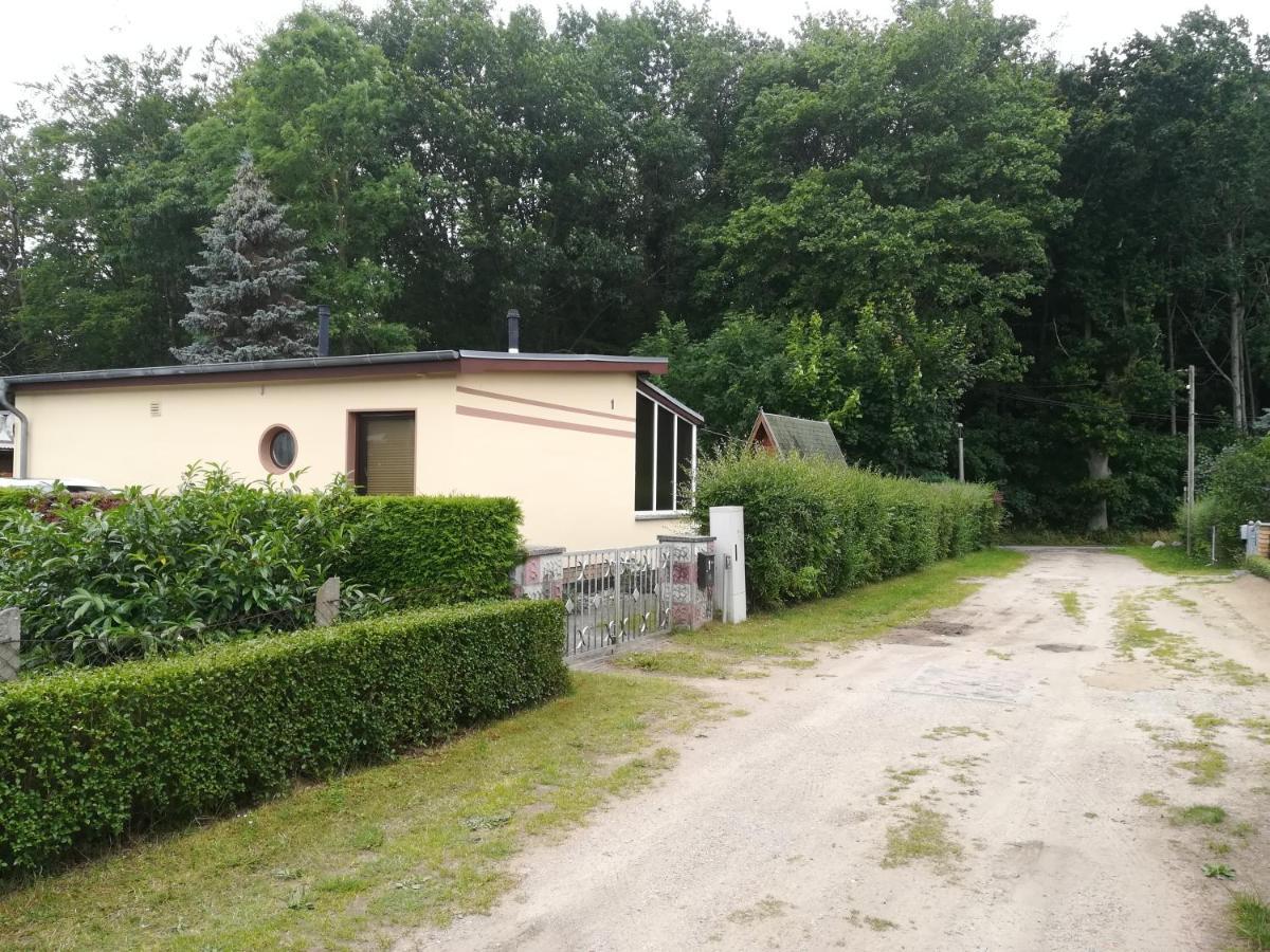 Ferienhaus Am Wald Loissin Extérieur photo